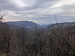 IMG_8956(1)