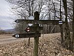 IMG_8957(1)