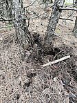 IMG_20250202_114004
