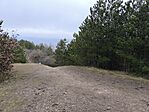IMG_20250202_114123