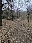 IMG_20250202_114328