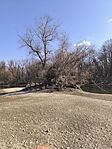 IMG_20250215_121835