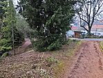IMG_20250226_104456