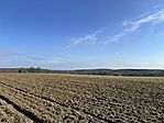 IMG_5405