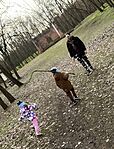 IMG_2658