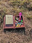 IMG_20250208_121910