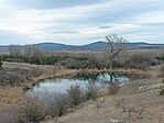 IMG_20250201_145030.jpg