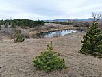 IMG_20250201_141712.jpg
