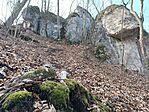 IMG_20250202_121245.jpg