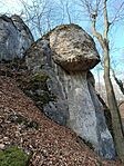IMG_20250202_121553.jpg