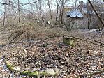 IMG_20250217_111356.jpg