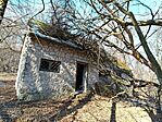 IMG_20250217_113033.jpg