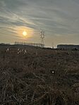 IMG_9141