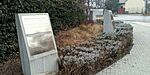 IMG_20250226_090123