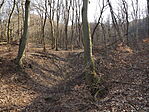 Szent László-forrás-4