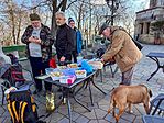 IMG_1164
