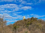 IMG_1137