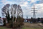 DSC_9996