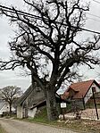 IMG_5399