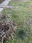 IMG_5436