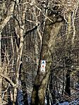 IMG_5506
