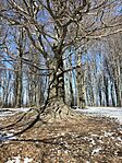 IMG_5505