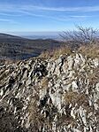 IMG_5493