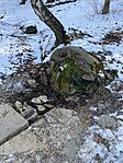IMG_5502