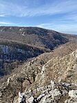 IMG_5507