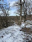 IMG_5570
