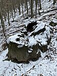 IMG_5572