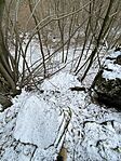 IMG_5574