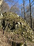 IMG_5665