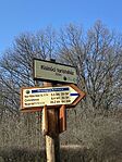 IMG_5653
