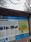 IMG_20250207_145329