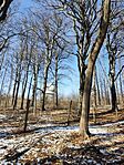 IMG_20250208_114334