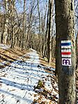 IMG_20250208_112511