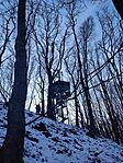 IMG_20250208_150838