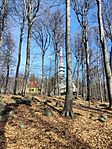 IMG_20250209_115234