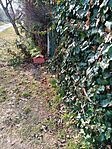 IMG_20250223_135353_192