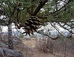 IMG_20250202_104453