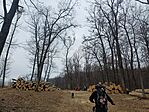 20250208_095508