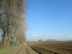 IMG_5048