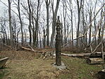 IMG_5126