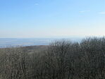 IMG_5254