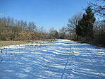 IMG_5418