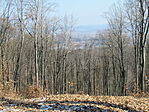 IMG_5428