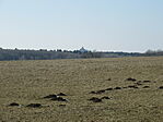 IMG_5436