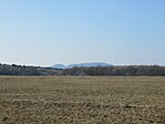 IMG_5439