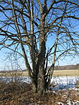IMG_5444